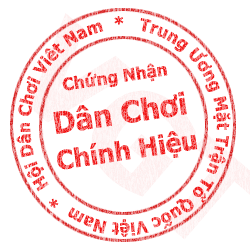 Danchoi